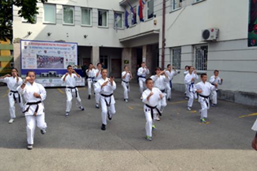 Mladost Gosapodjinci karate klub