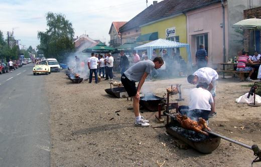 sajkaski razanj 2013