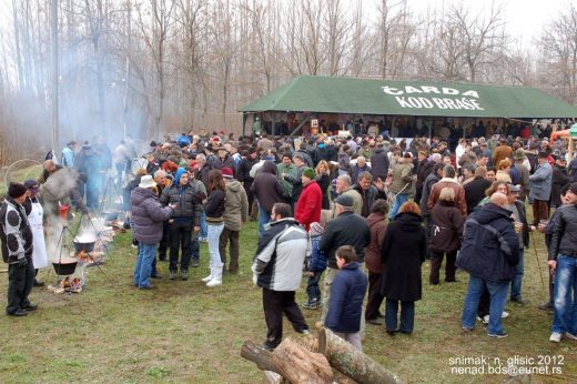petkazanje Begecka carda