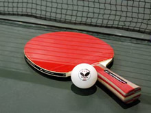 stoni tenis Temerin
