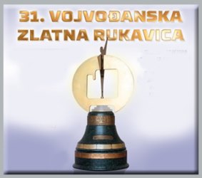 boks vojvodjanska zlatna rukavica 2013 Kikinda