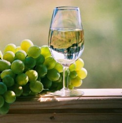Curuske noci mladog vina Boronj