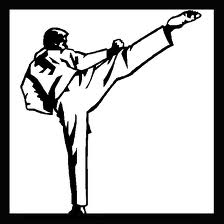 temerin karate