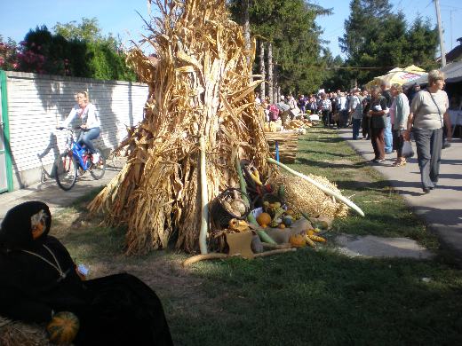 Dani ludaje Temerin 2012