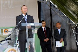 Pajtic Vrbas