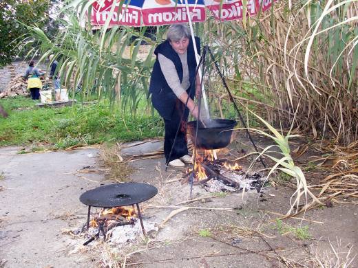 slikarska kolonija mosorin