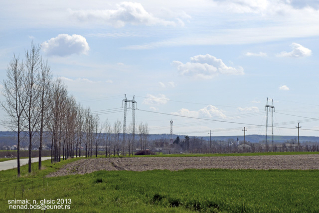 gardinovci