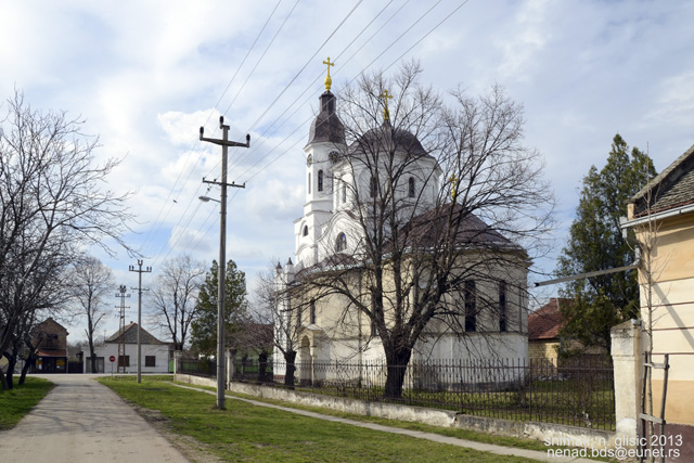 gardinovci