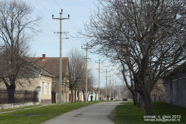gardinovci