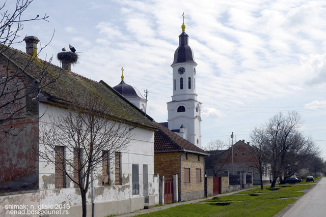 gardinovci